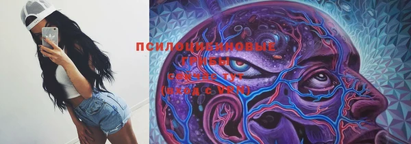 apvp Верхний Тагил