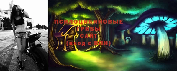 apvp Верхний Тагил