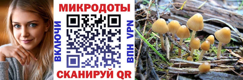 Купить закладки  Кропоткин  Галлюциногенные грибы MAGIC MUSHROOMS 
